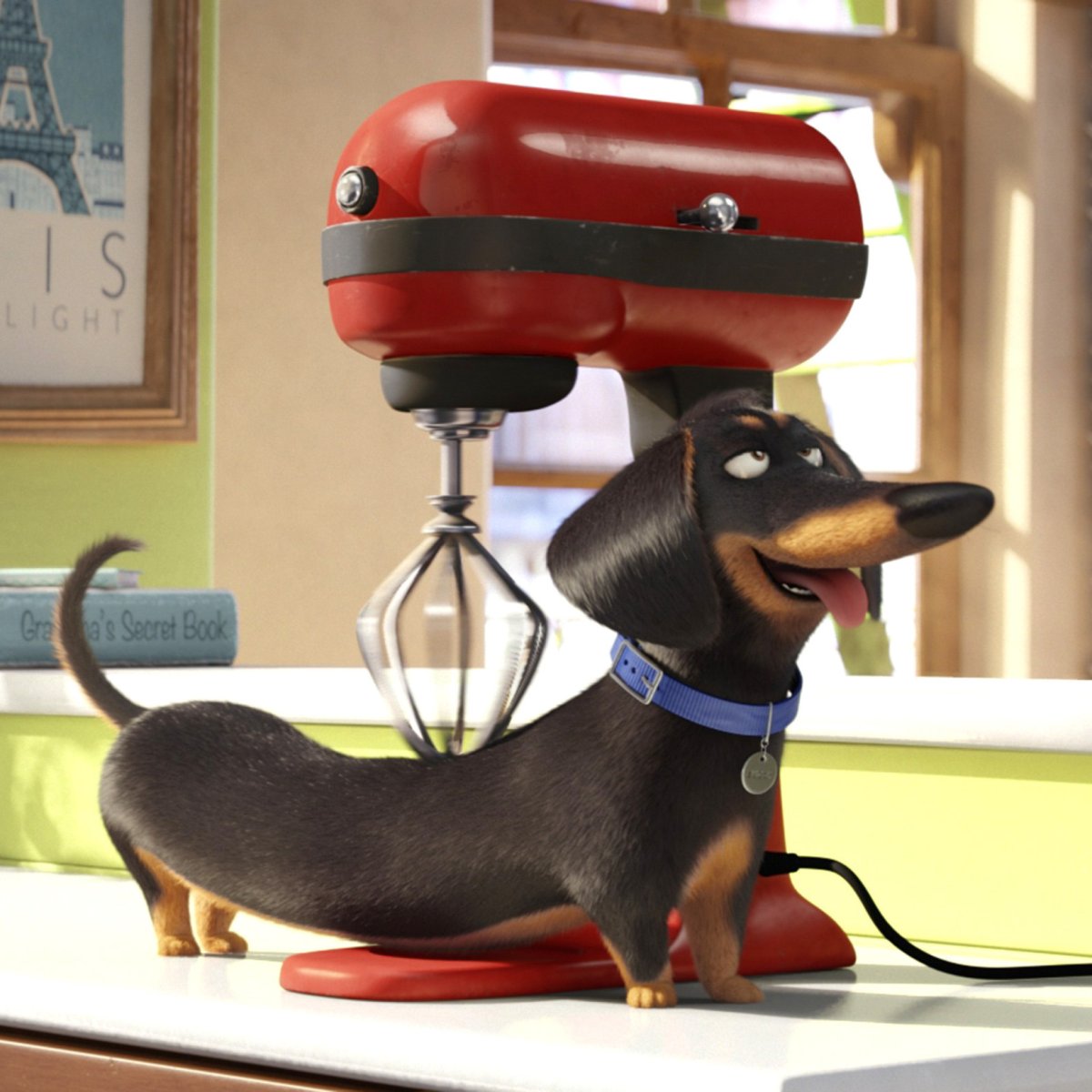 Герои мультика тайна жизнь домашних животных имена