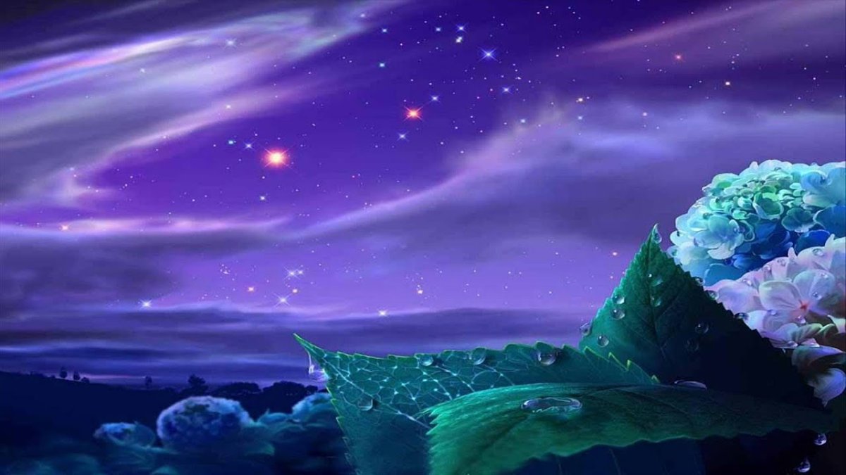 Сказочных сновидений