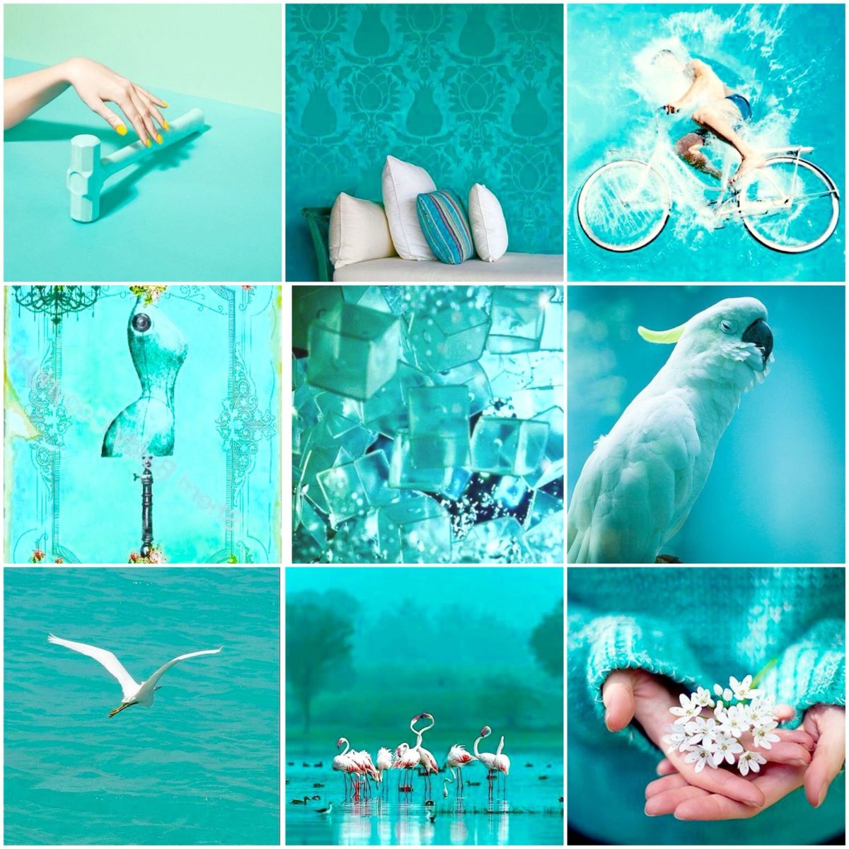 Голубой цвет