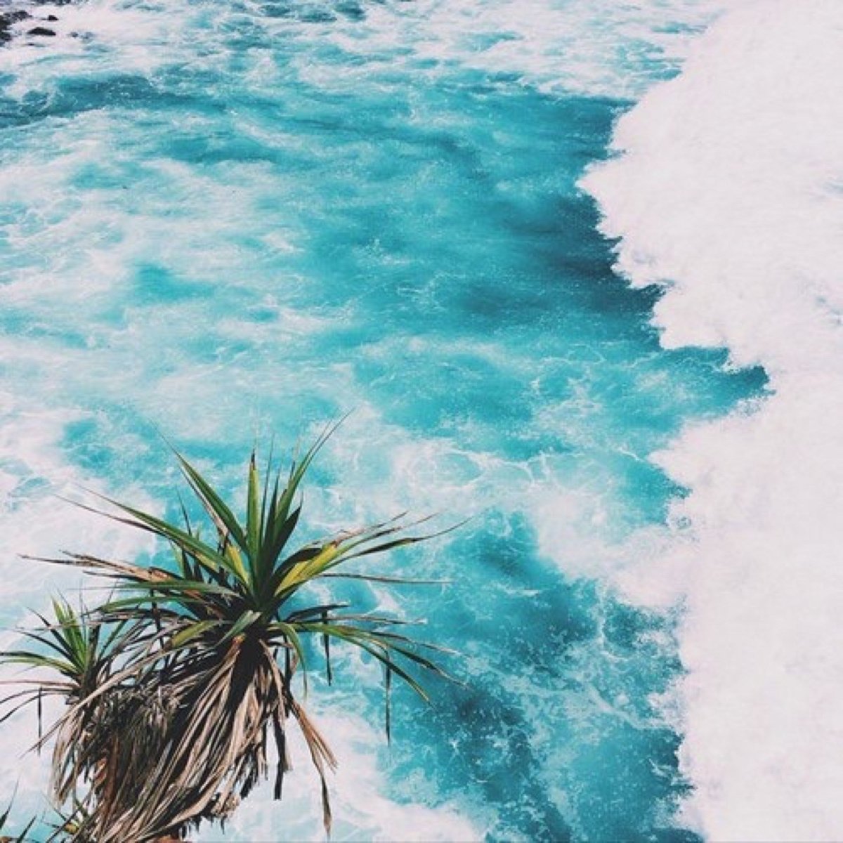 Творчество голубой Эстетика