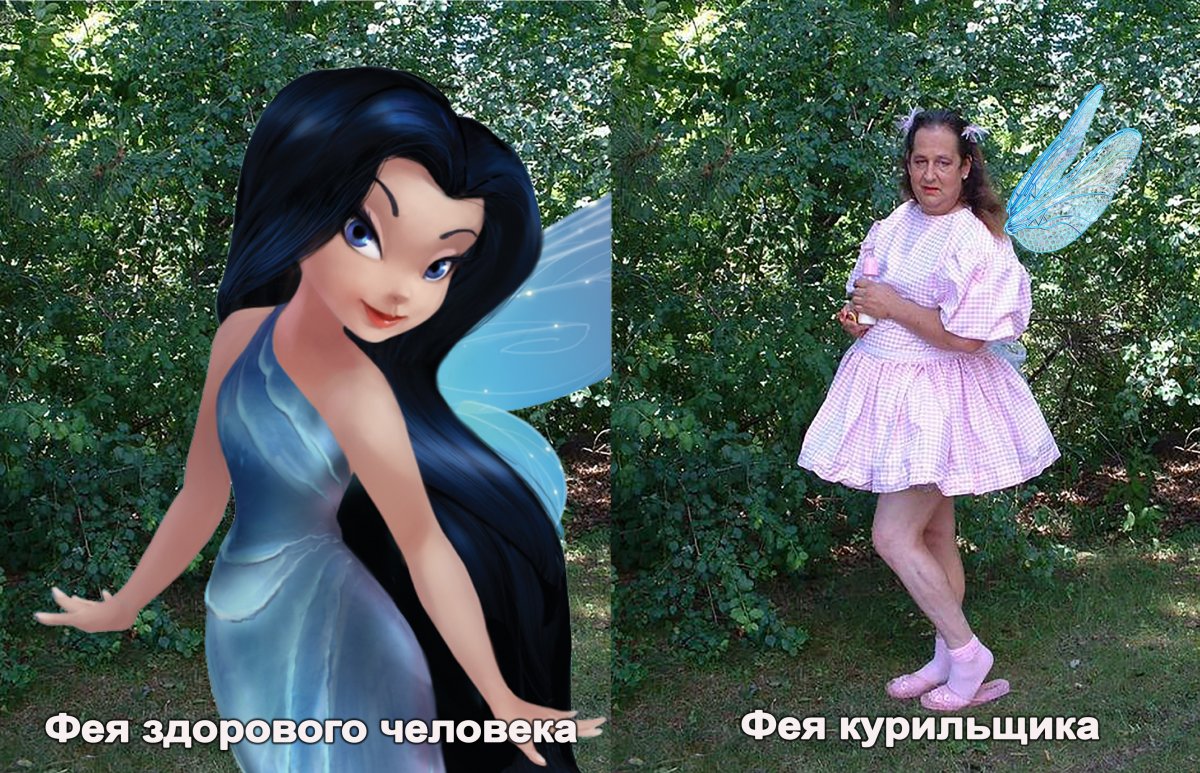 Зубная Фея прикол