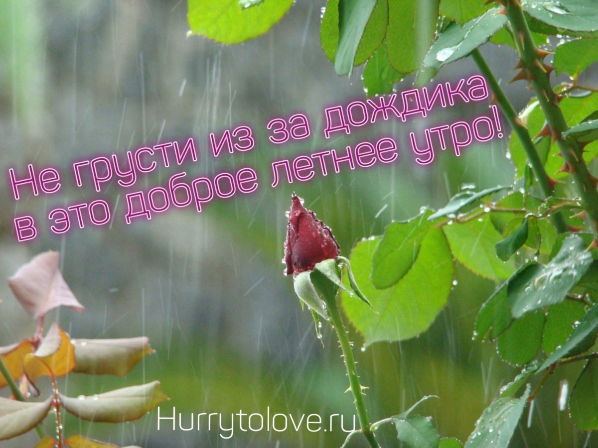 Хорошего дня иллюстрации