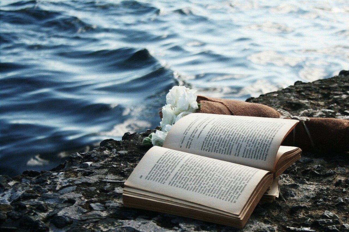 Книжное море