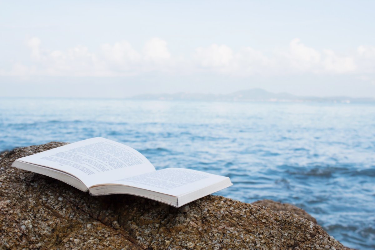 Образование на пляже