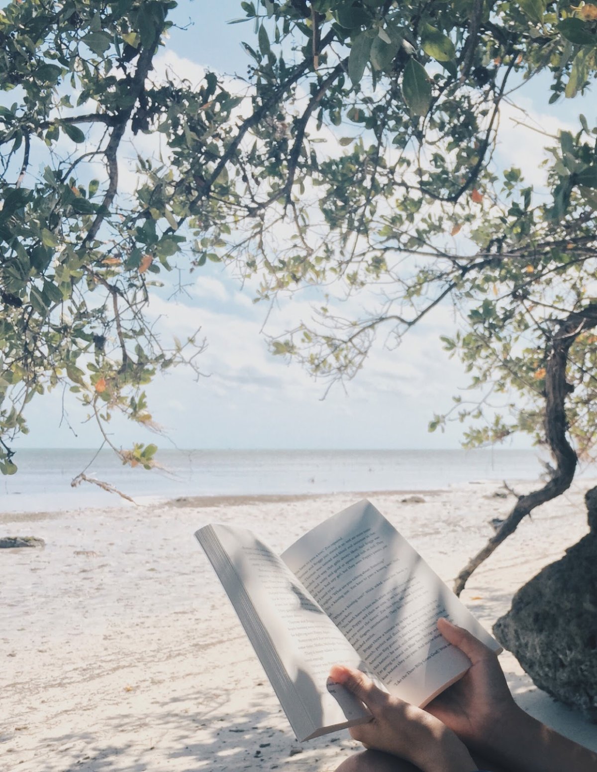 Книга на берегу моря