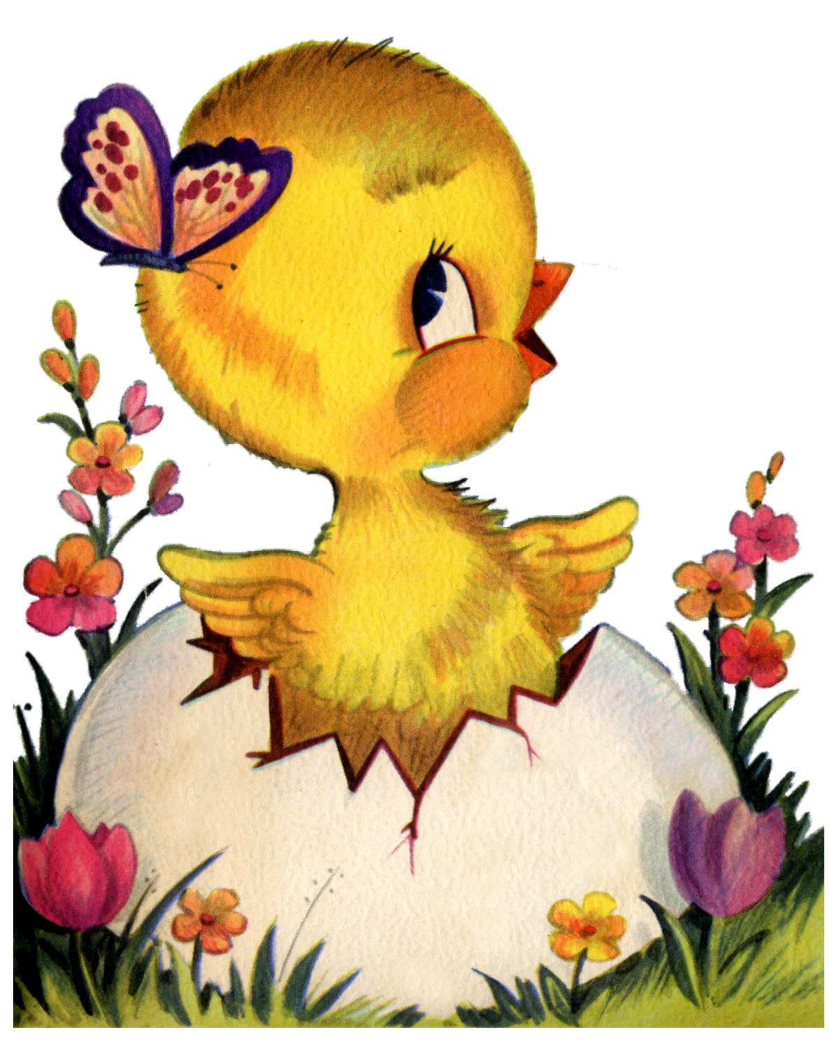 Цыпленок на Пасху