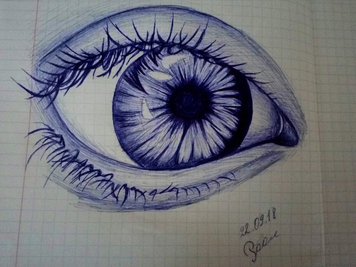 Рисунки ручкой