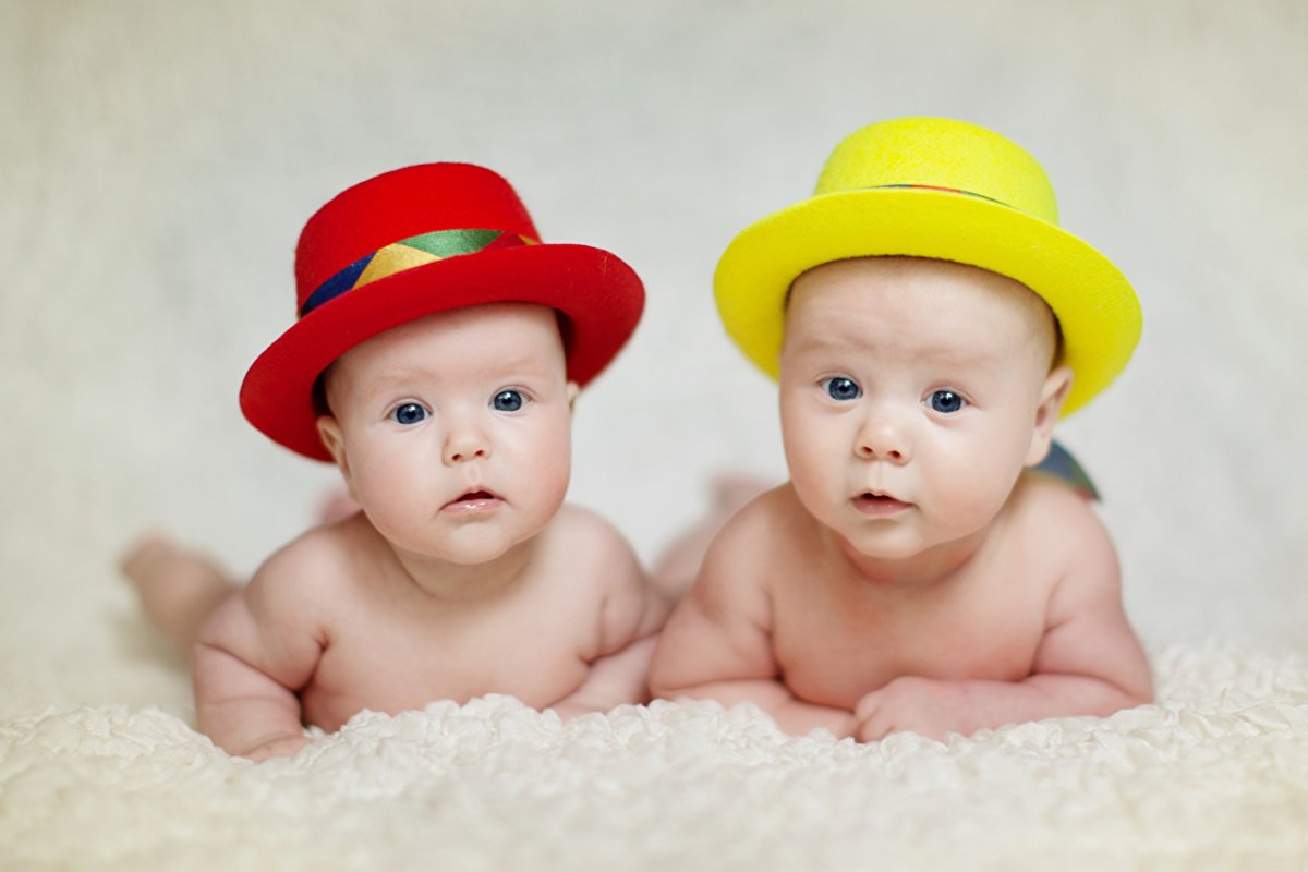 Кинсли Райан