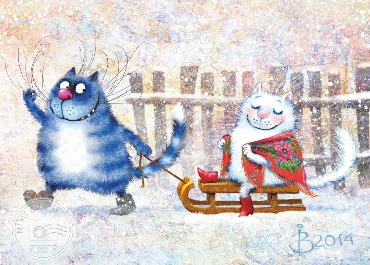 Коты Ирины Зенюк 2020