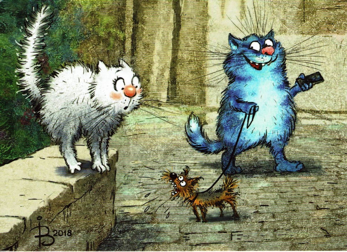 Голубые коты Ирины Зенюк