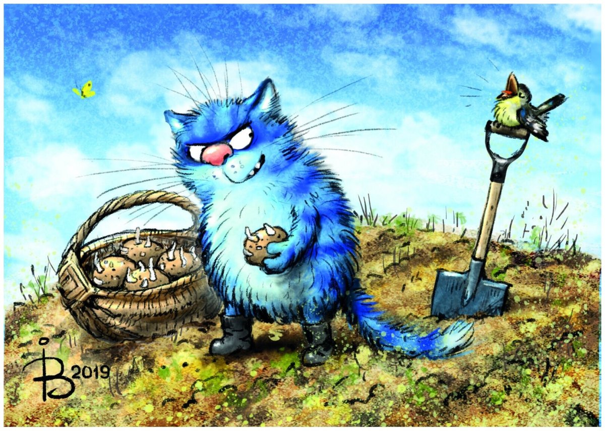 Коты Минской художницы Ирины Зенюк