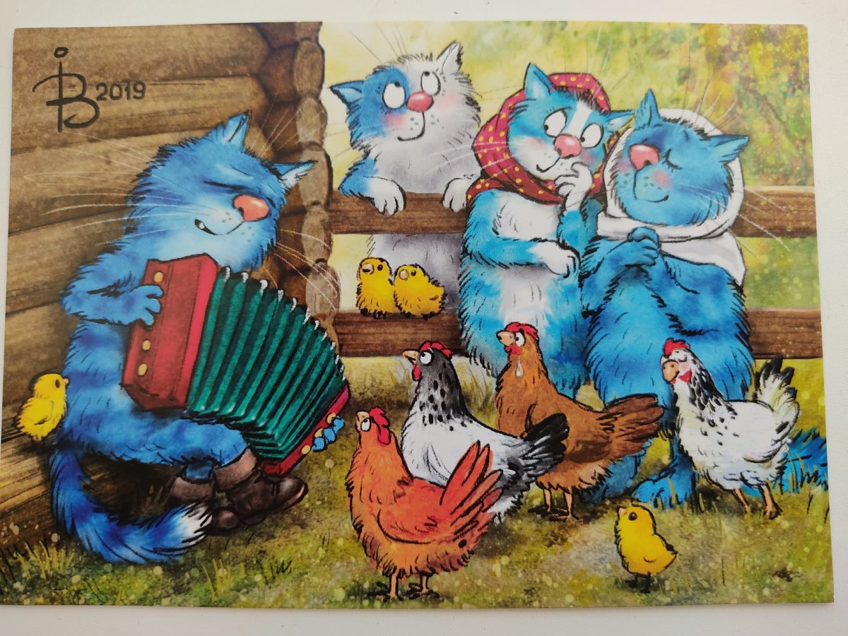 Коты Ирины Зенюк