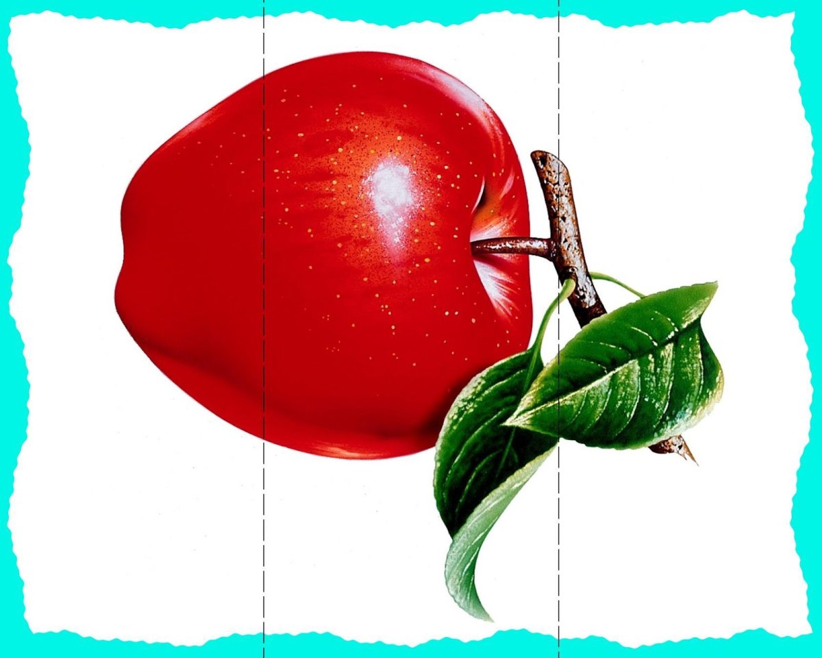 Пазлы овощи для детей