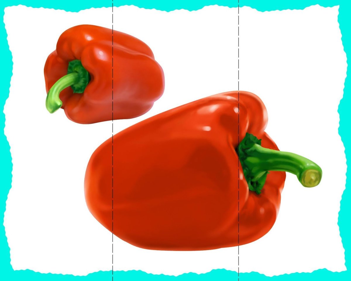 Как рисовать плоды деревьев