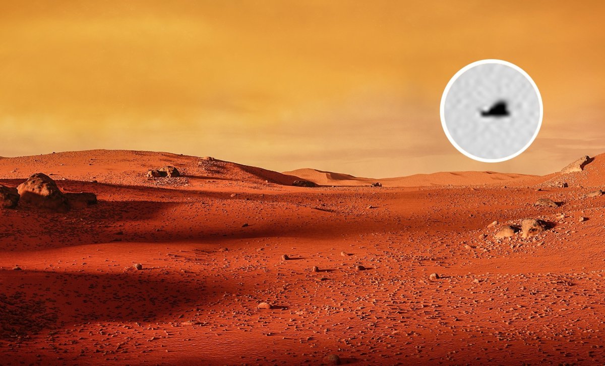 Обитатели планеты Марс