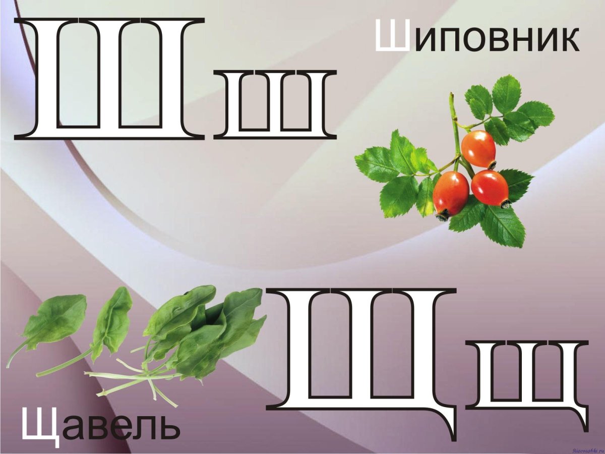 Веселая буква ш