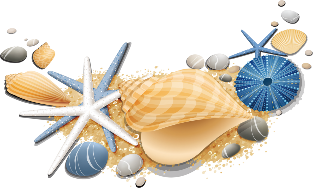 Нежная Ракушка