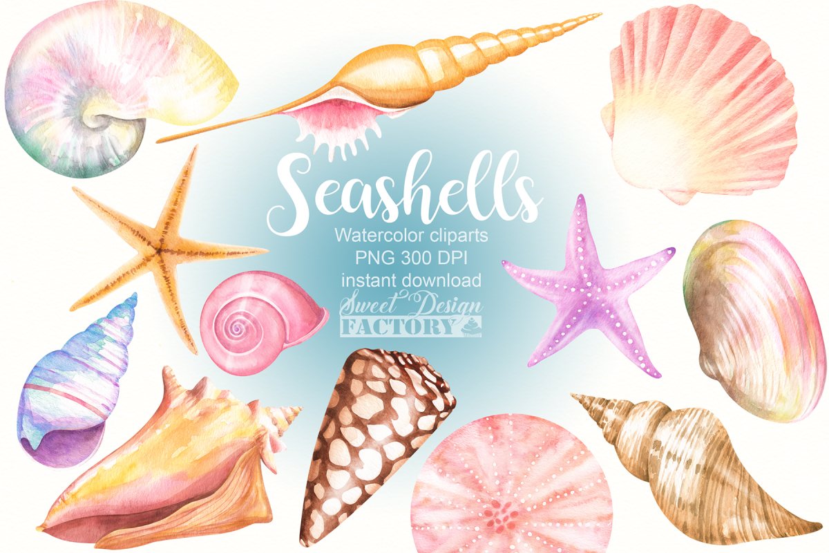 Белая витая Ракушка