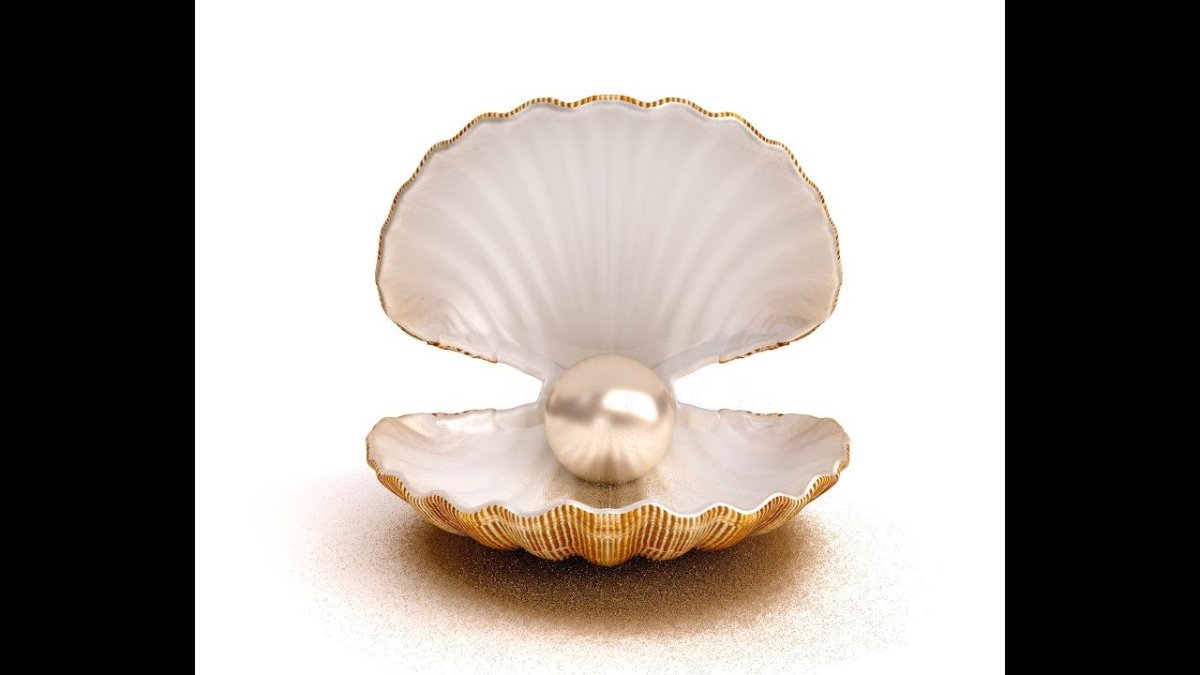 Ракушка с жемчужиной