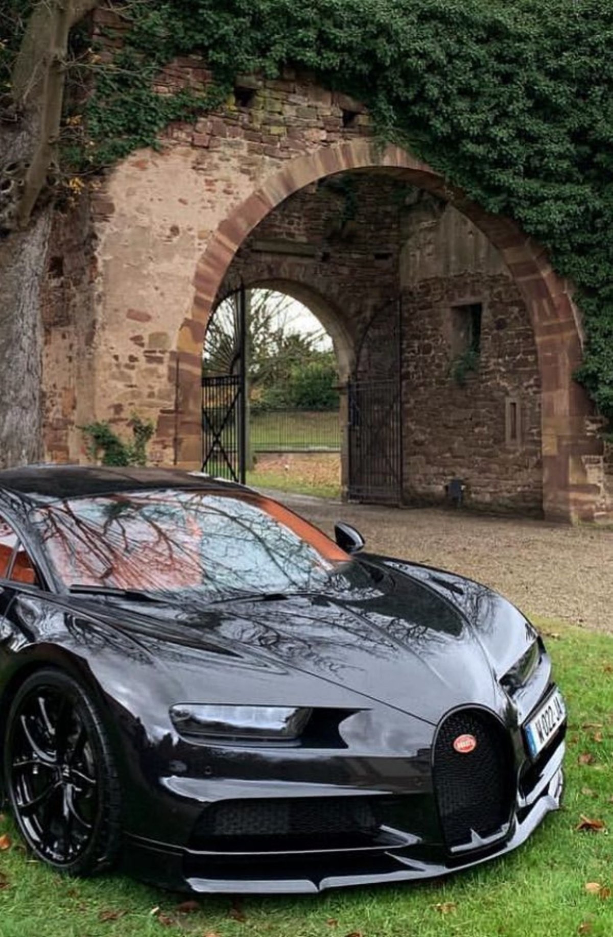 Ламборгини и Бугатти и Феррари