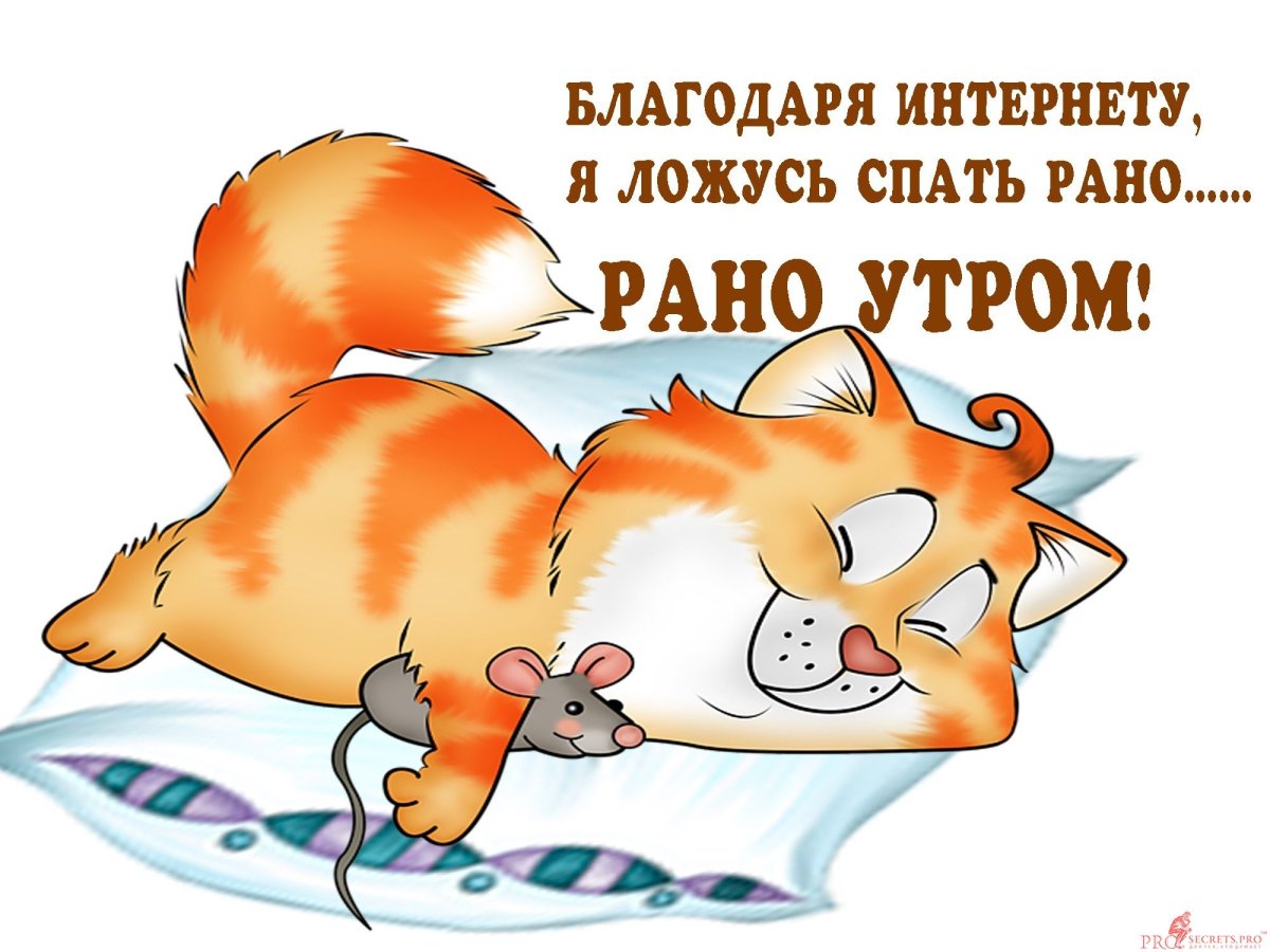 Прикольные стишки для поднятия настроения