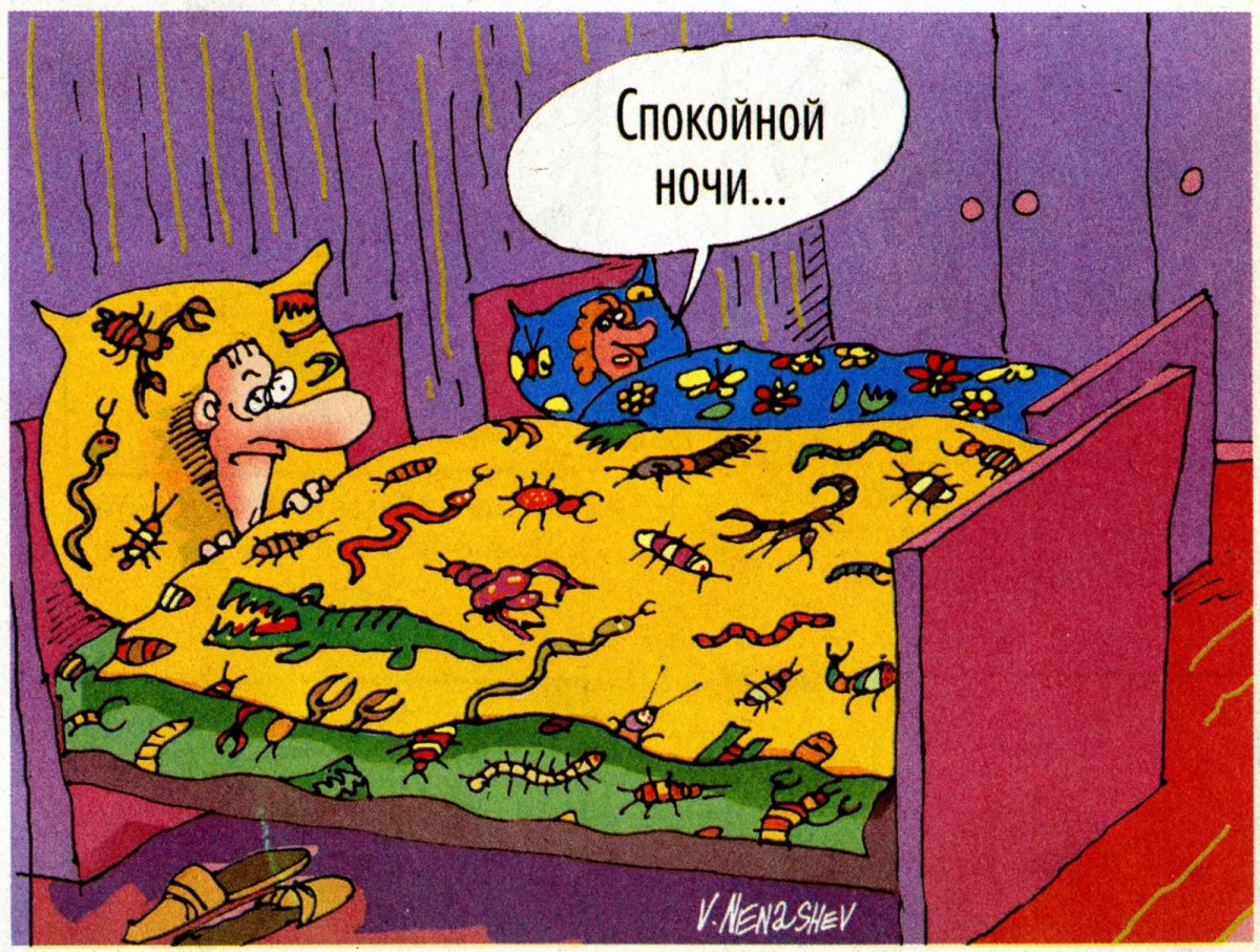 Юмор на ночь