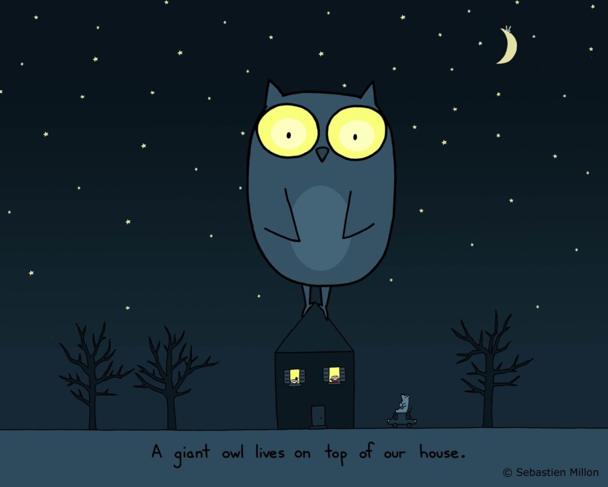 Шутки на ночь картинки