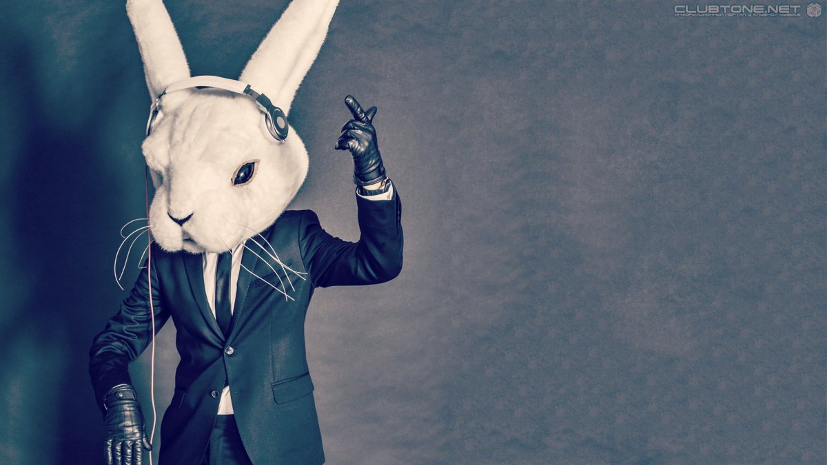 Крутой кролик