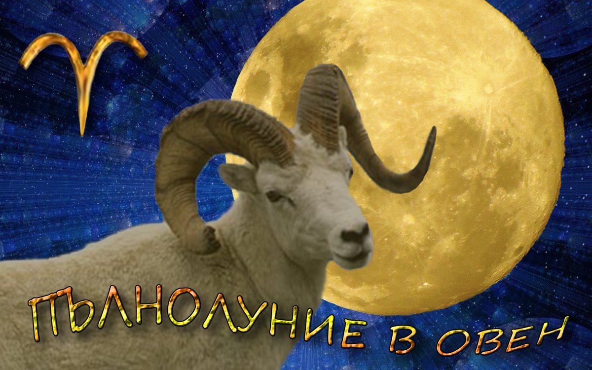 Факты о Стрельцах