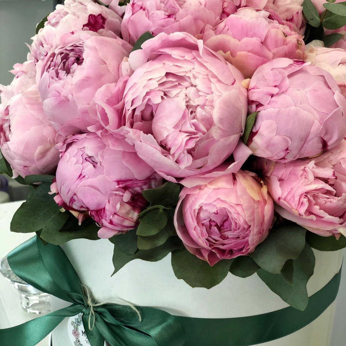 Пион Сара Бернар