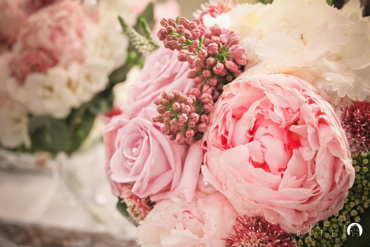 Пионы пудровые 4к