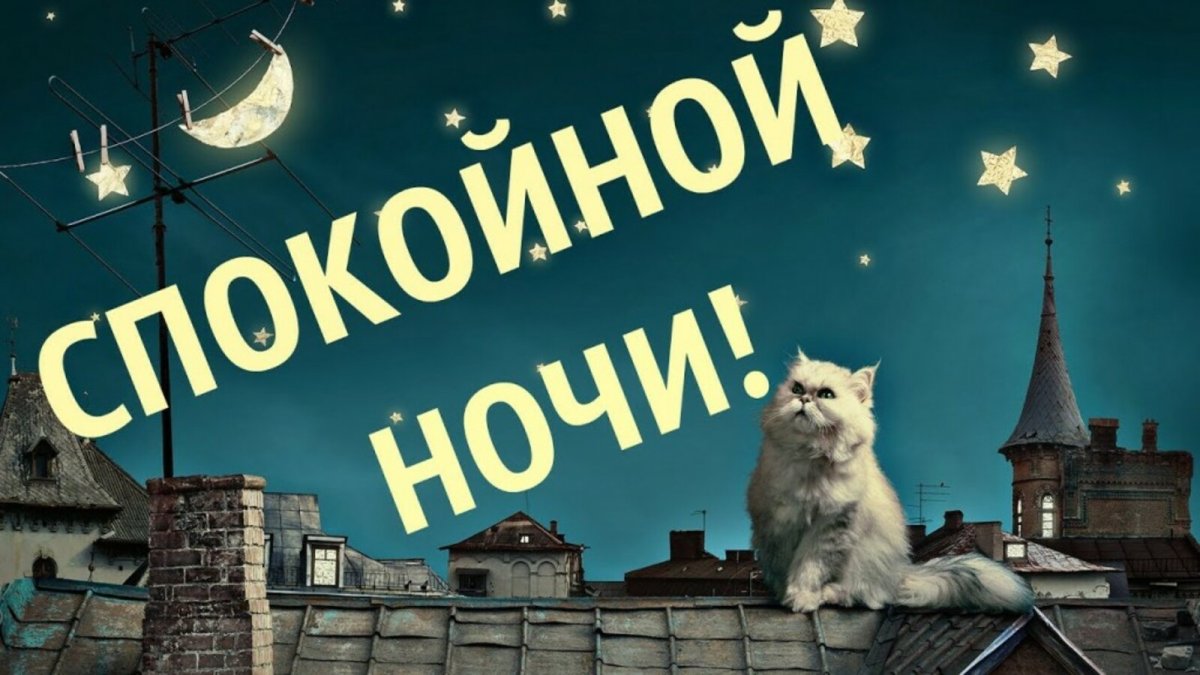 Спокойной ночи волчок