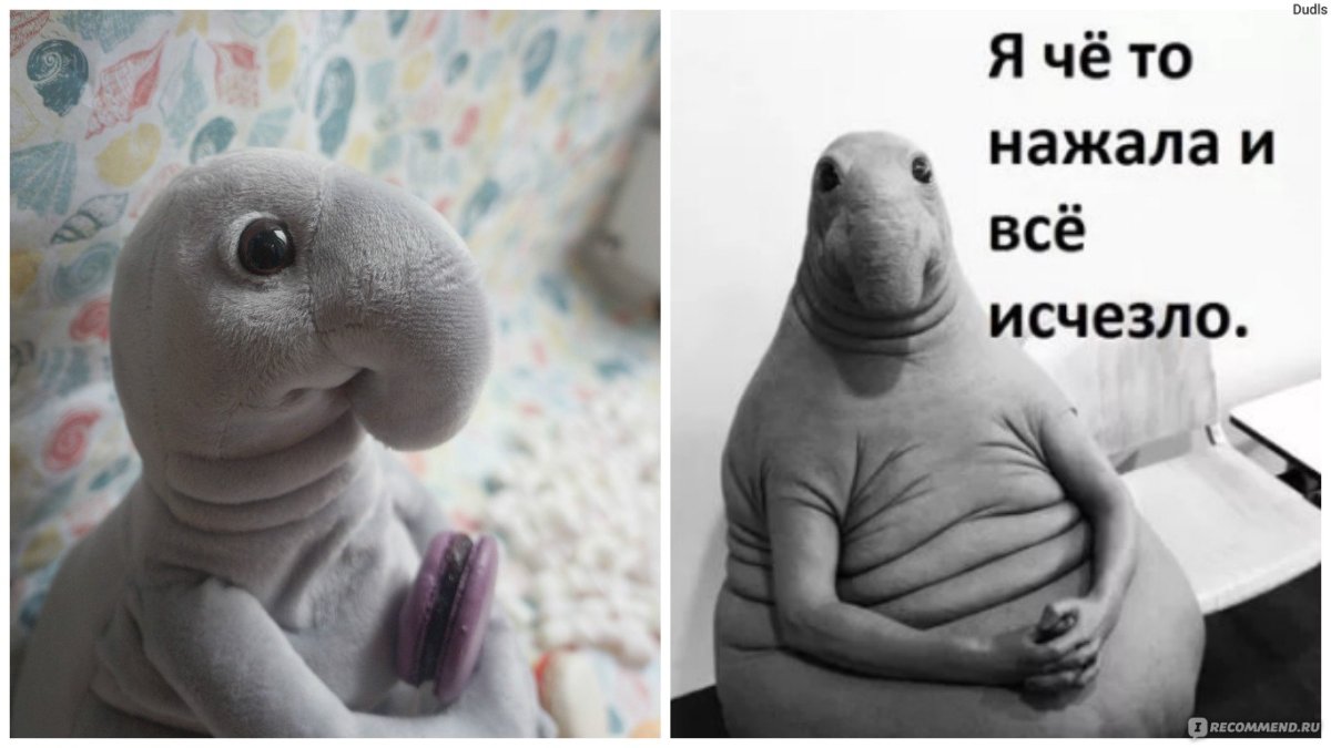 Ждун стикер