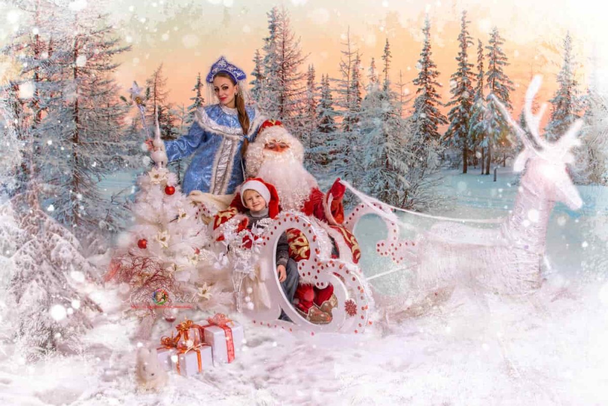 Волшебный зимний лес