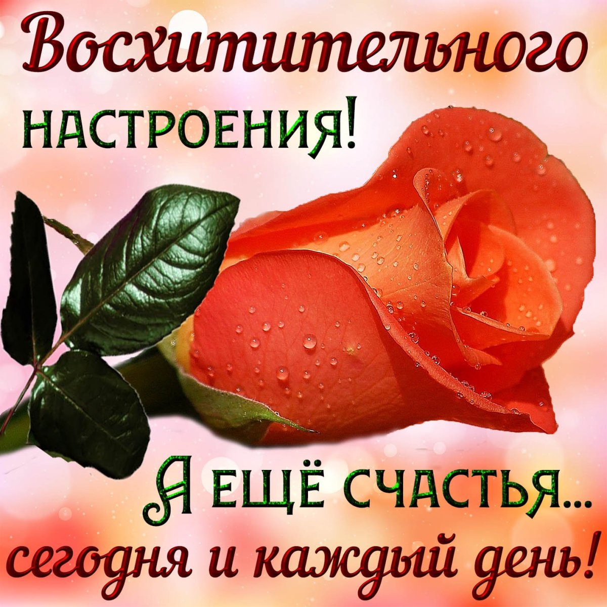 Пожелания скорейшего выздоровления