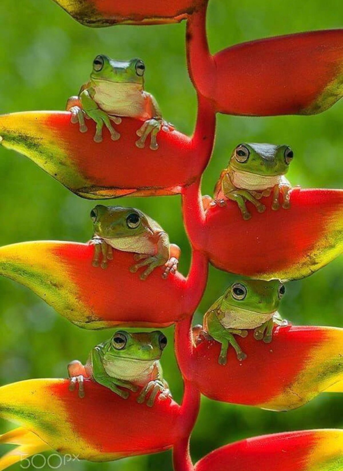 Позитивные картинки с юмором