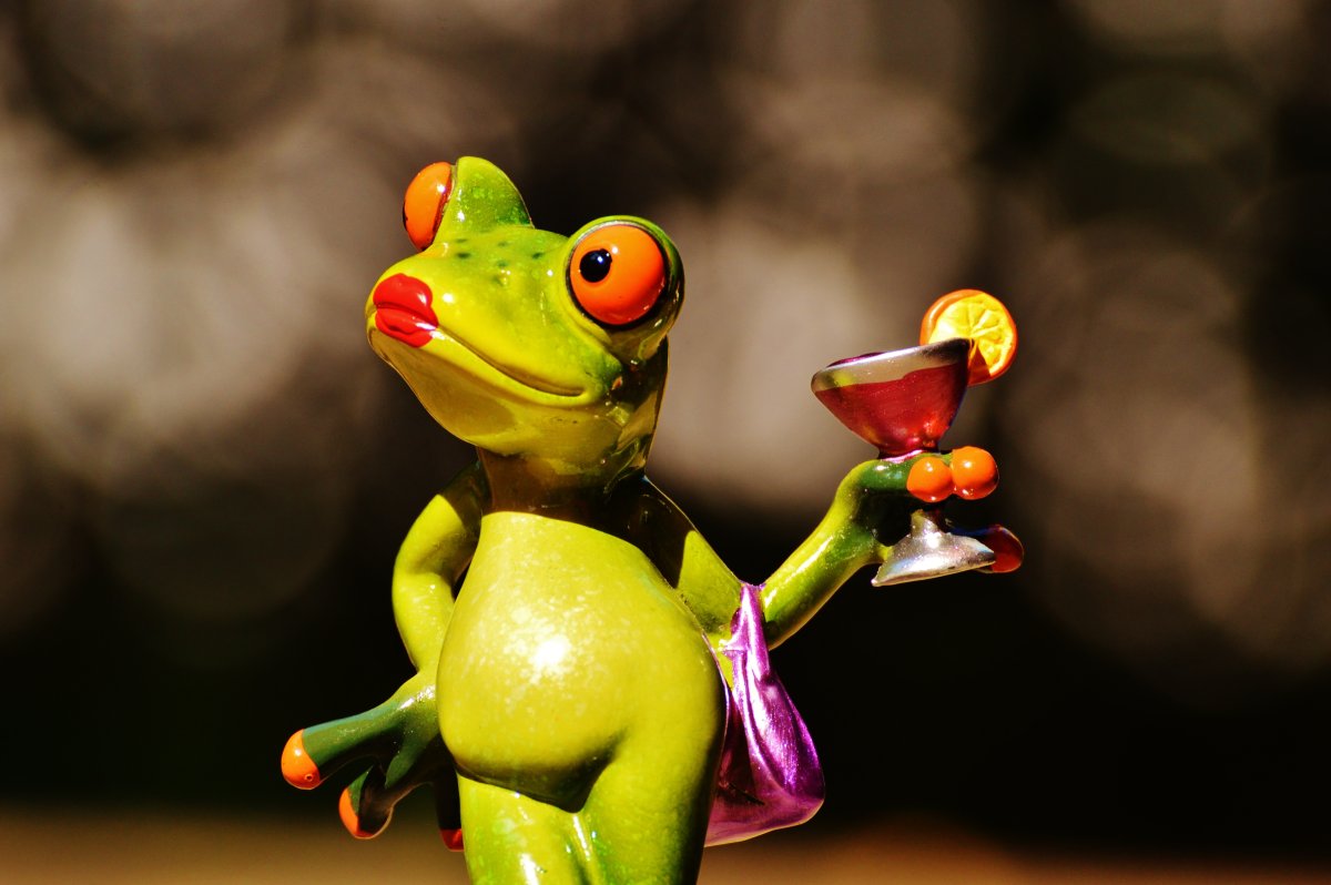 Милые лягушки