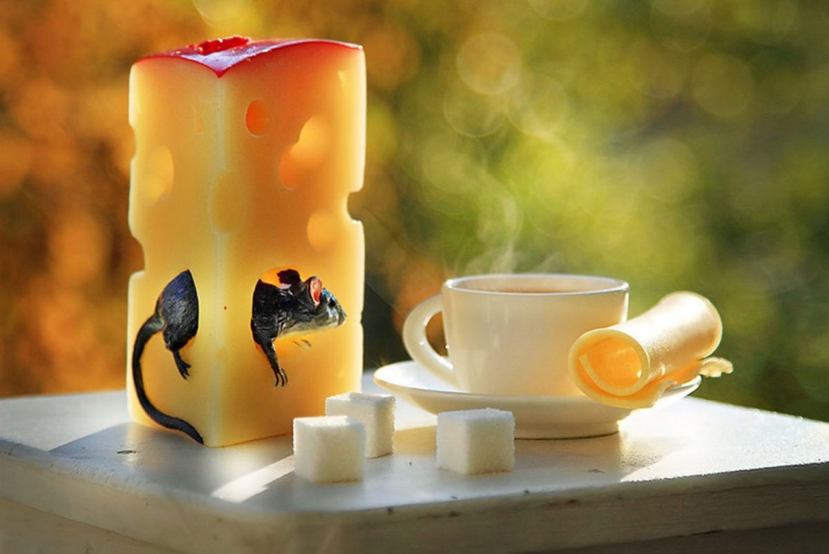 Утренний цветок сюрреализм