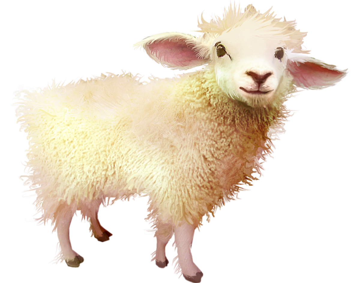 Овечка на прозрачном фоне