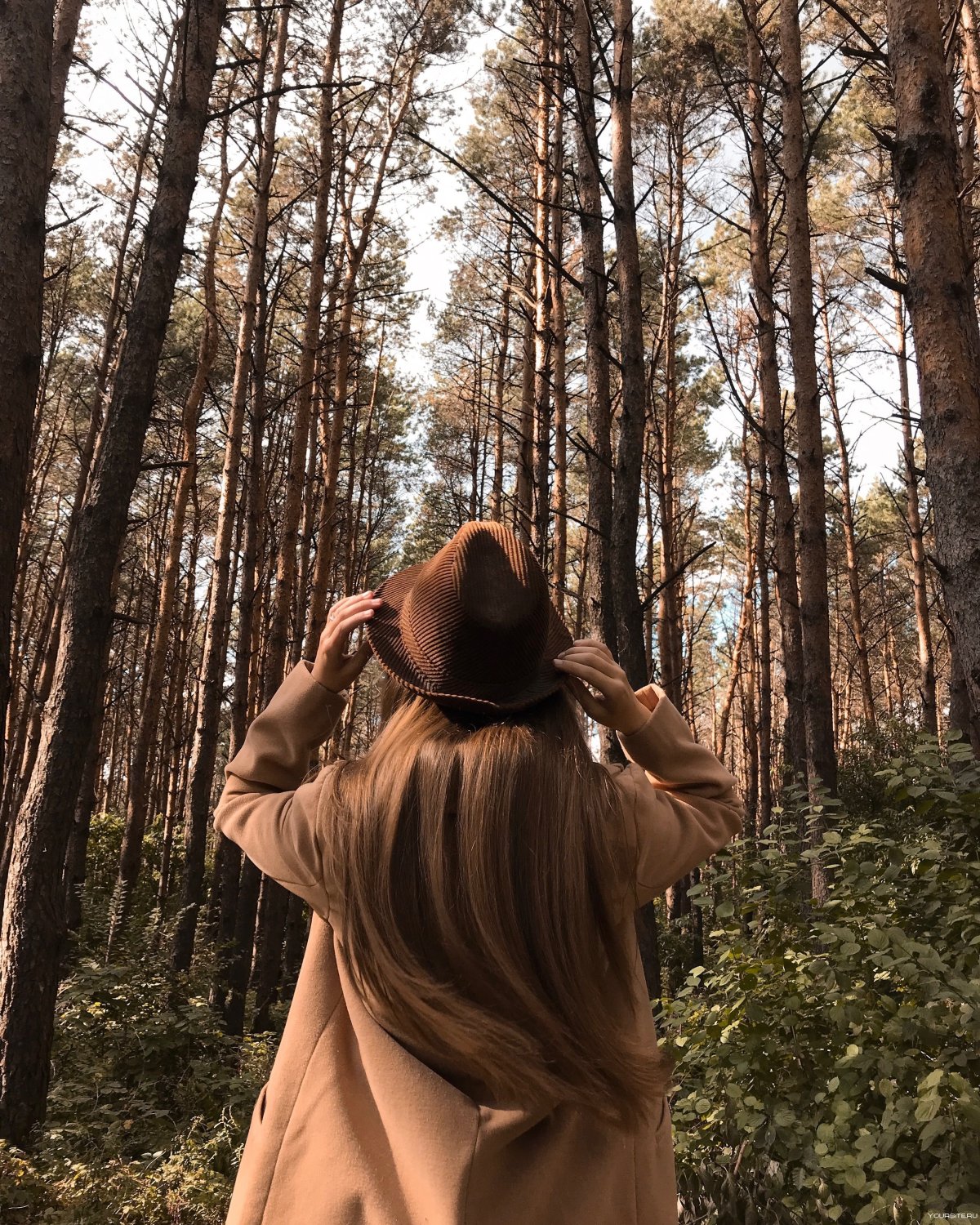 Девушка в лесу со спины