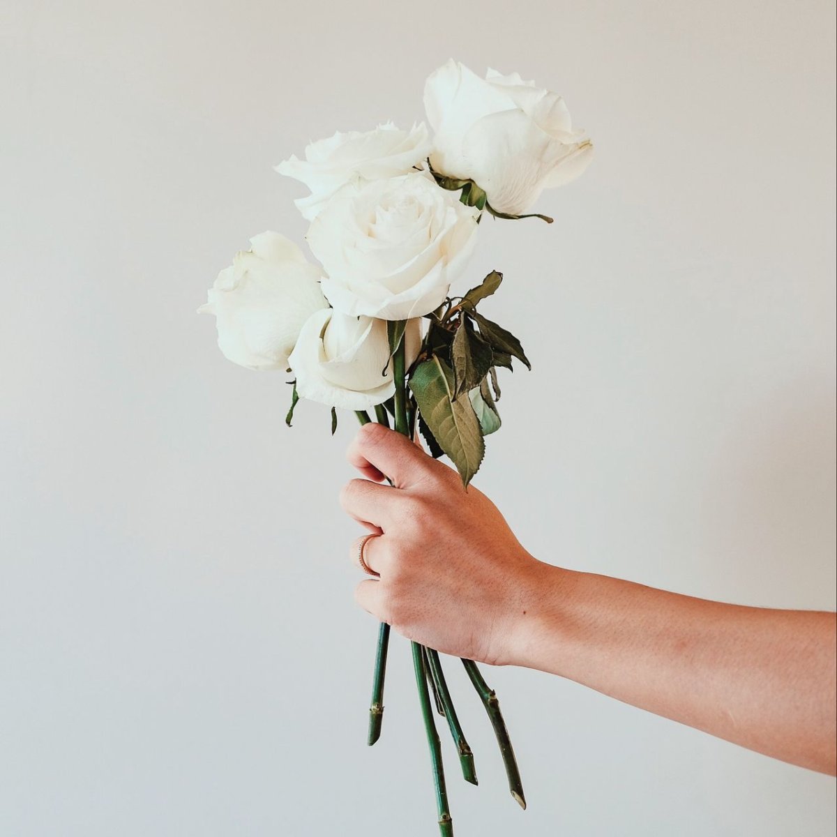 Белые цветы в руках Эстетика