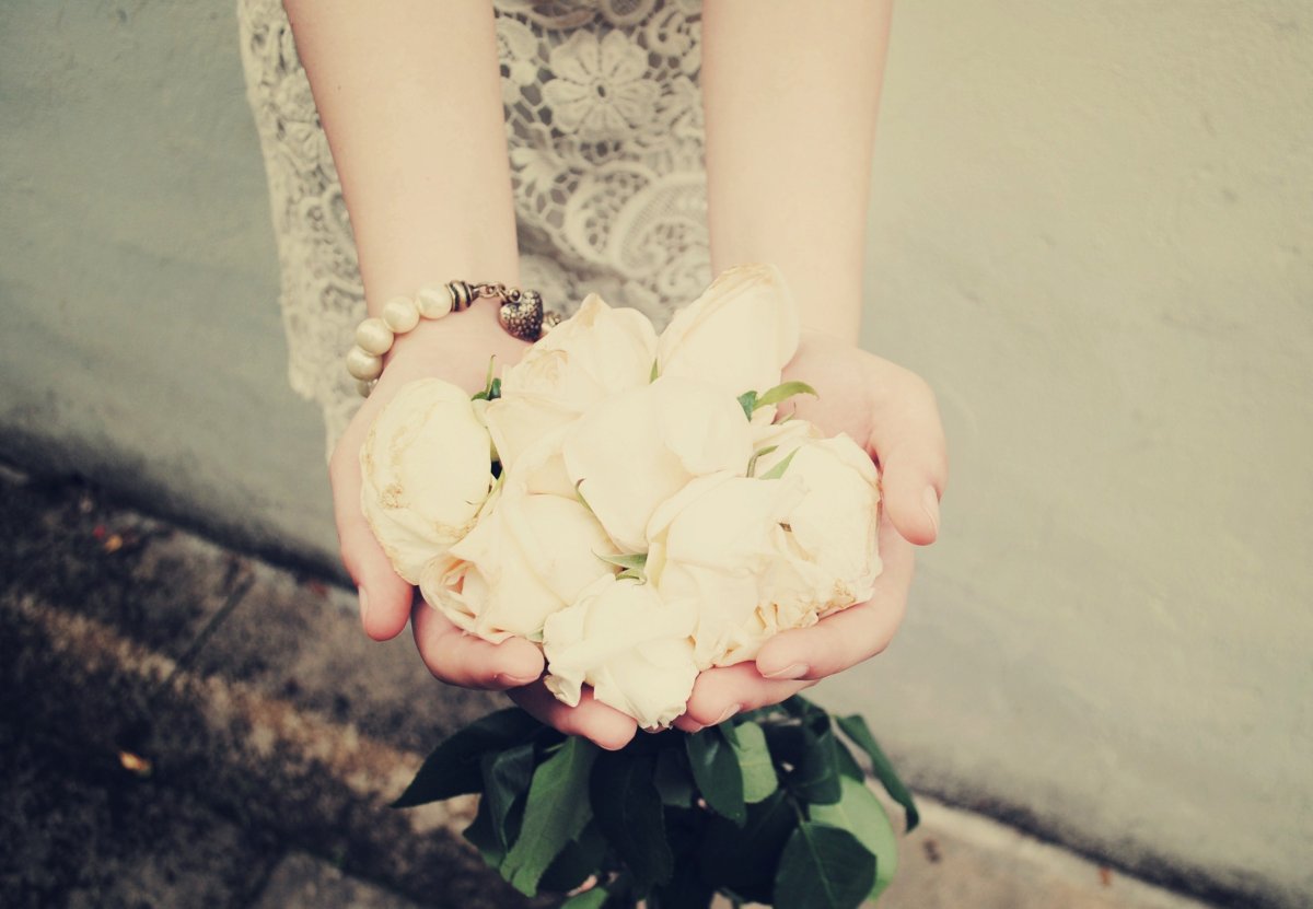 Белая роза в руке