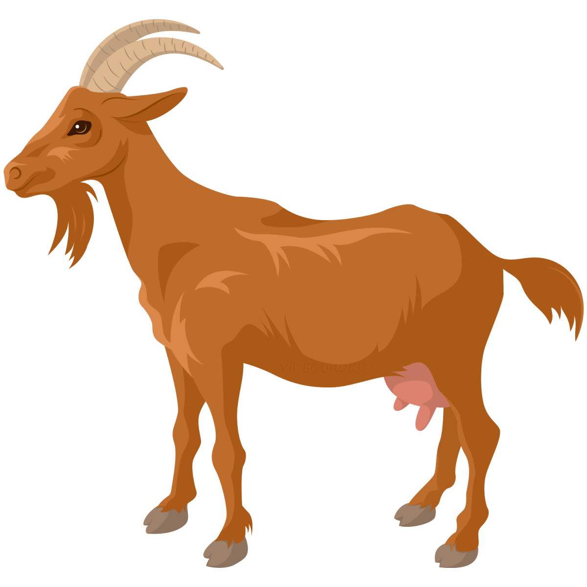 Козлик вид сбоку