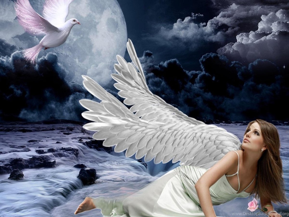 Шестикрылый ангел