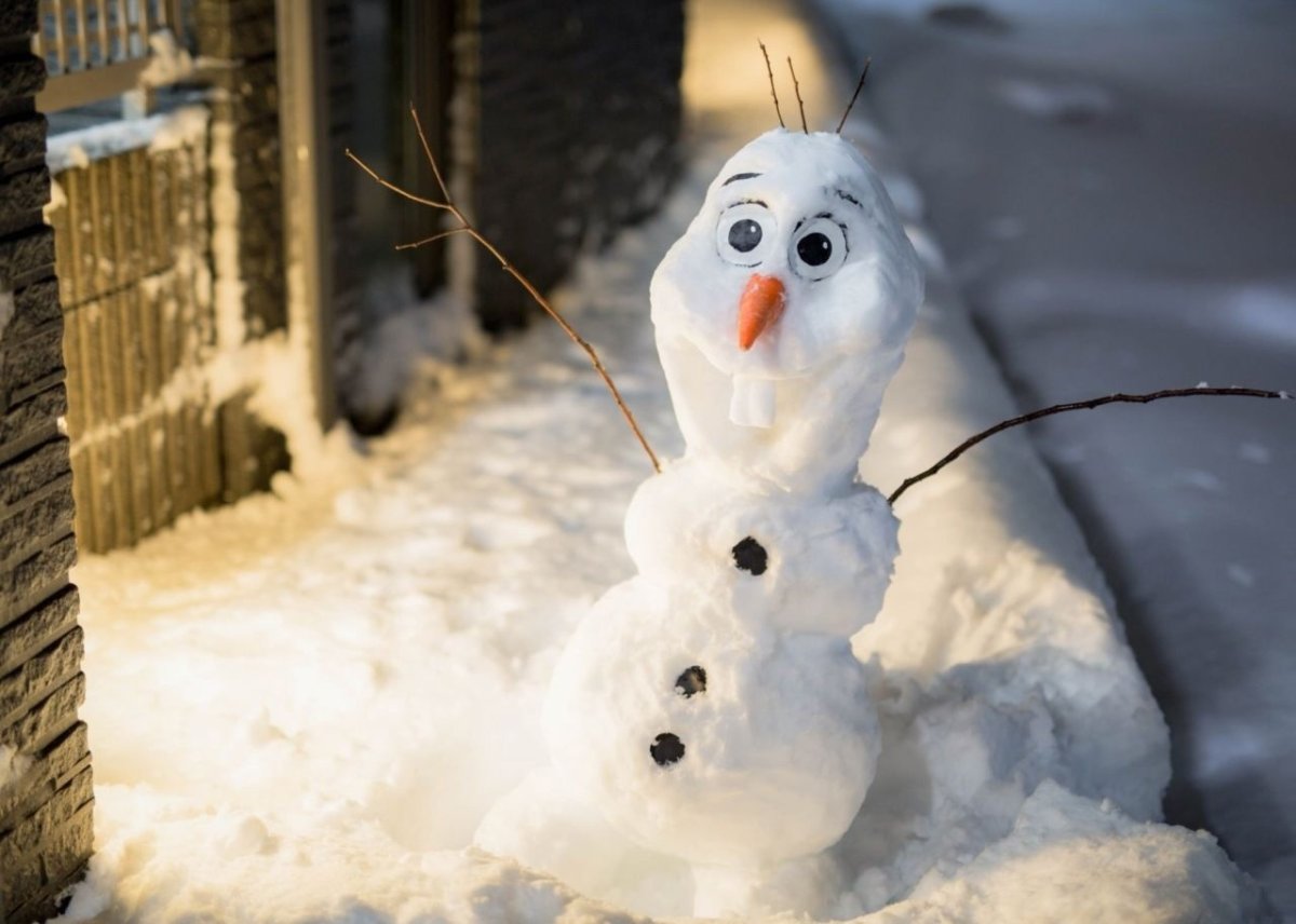 Снеговик какает