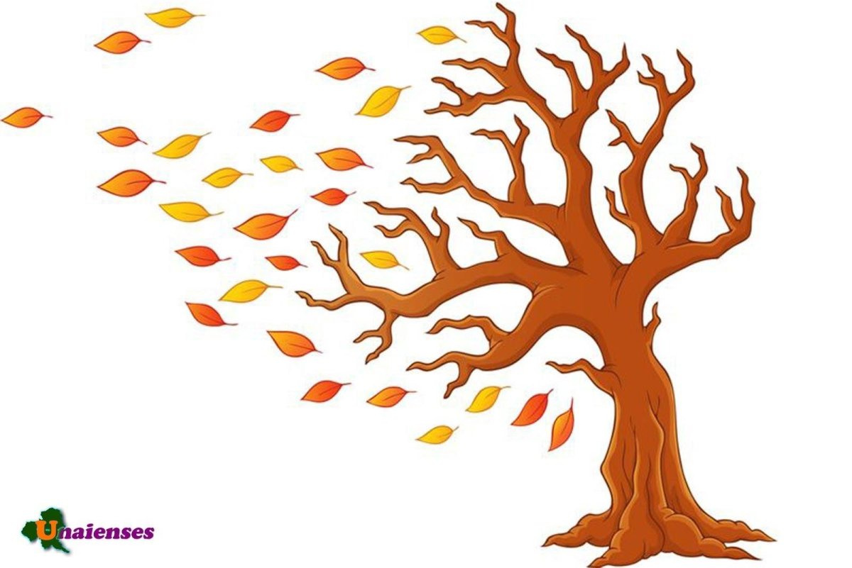 Осенние деревья аниме