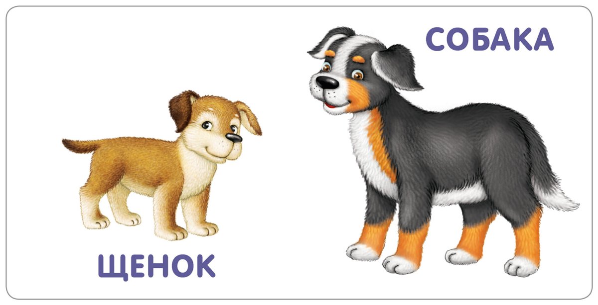 Собака из сказки