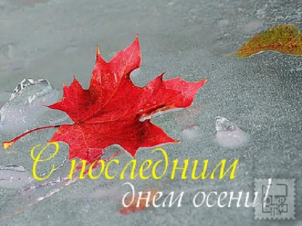 С последнениим днем ОС