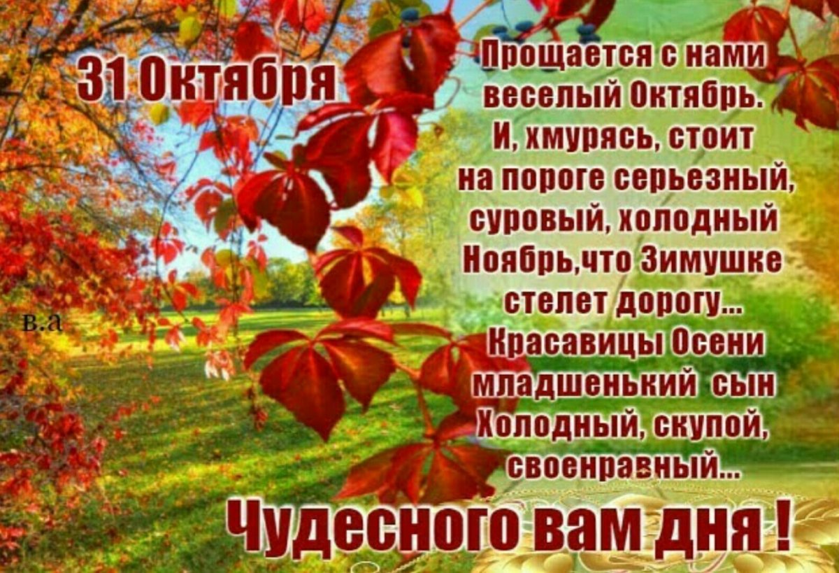 Доброго ноябрьского дня