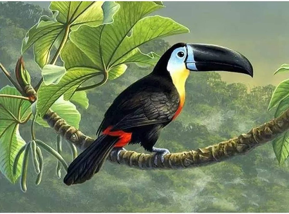 Джеймс Хаутман художник